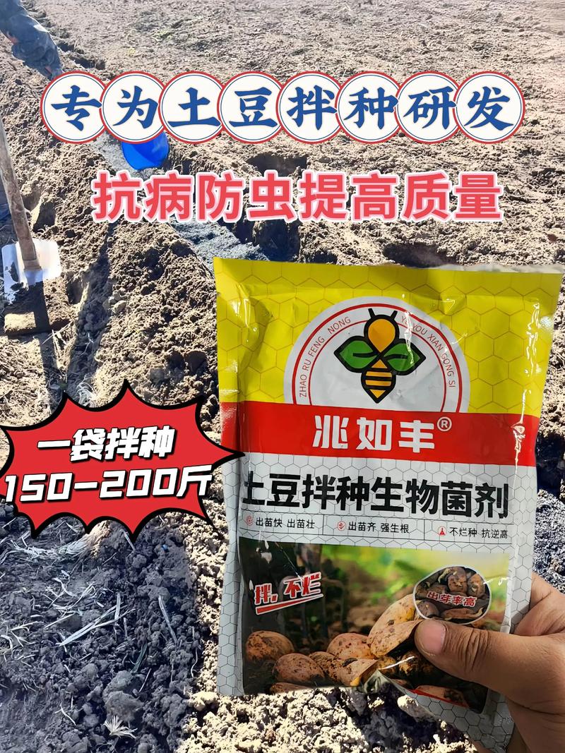 土豆拌种剂!能防治各种病害发生,有效防治地下害虫,提高质量