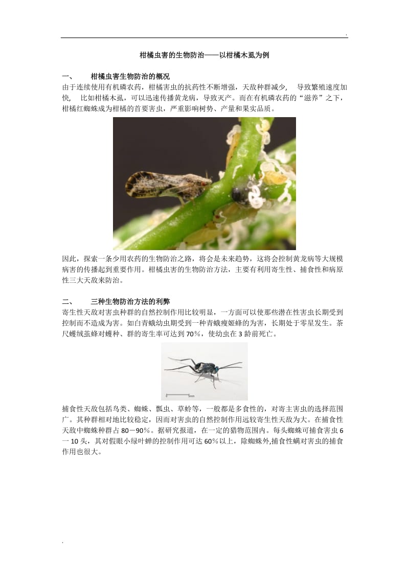 柑橘木虱的生物防治方法