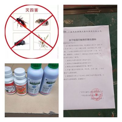 灭鼠工作简报 害虫防治服务的全面策略与成效